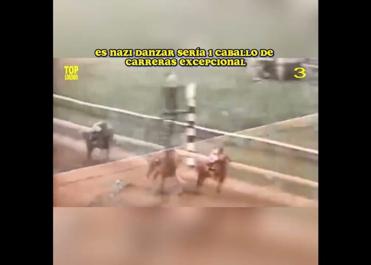 Caballos con Sangre de la Realeza