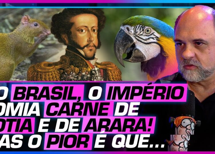 FOFOCAS do IMPÉRIO BRASILEIRO – PAULO REZZUTTI