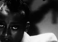 20 novas músicas para ouvir hoje: Little Simz, bisavô e muito mais