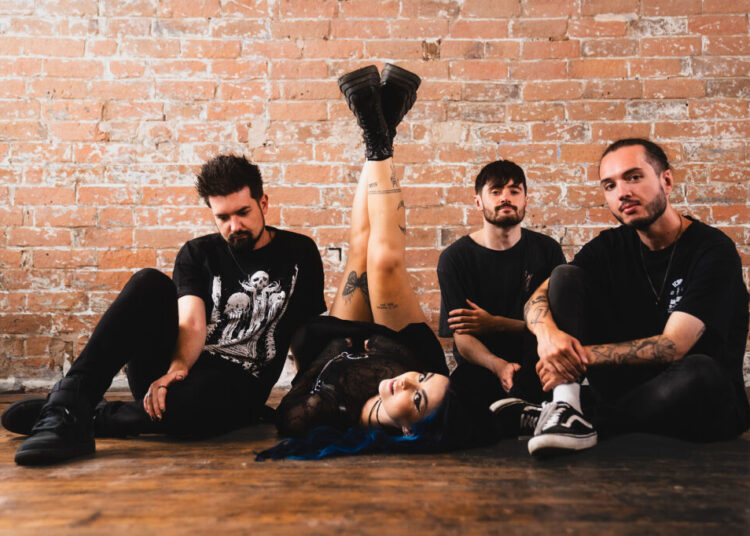 À medida que dezembro Falls lançam o novo videoclipe para 'For The Plot'