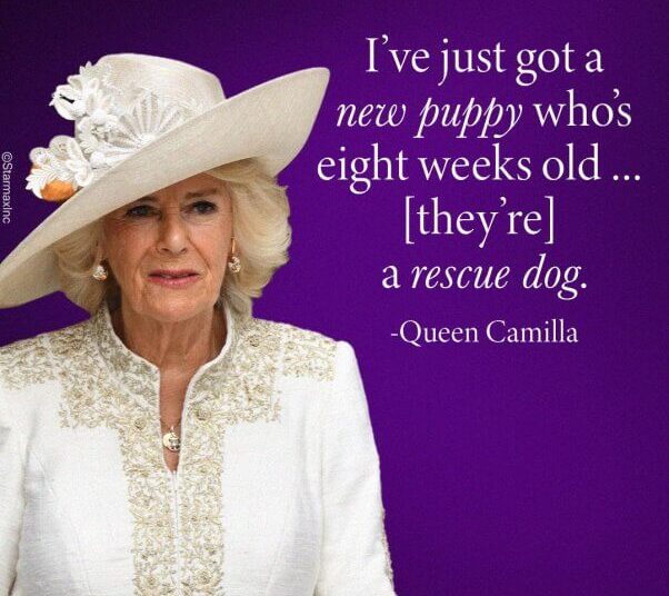 A rainha Camilla acrescenta Moley de cachorro adotado à família real