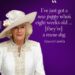 A rainha Camilla acrescenta Moley de cachorro adotado à família real