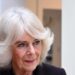 A rainha Camilla usava um broche com uma longa história real - e um possível aceno para seu próprio ancestral