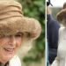 A rainha Camilla vira a cabeça enquanto sai no Royal Ascot com o Auxino Top | Real | Notícias