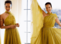 Anoushka Shankar marca 30 anos em música com o novo álbum 'Capítulo III: We Return to Light'
