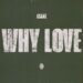 Asake derruba um novo single e videoclipe escaldante “Por que Love?”