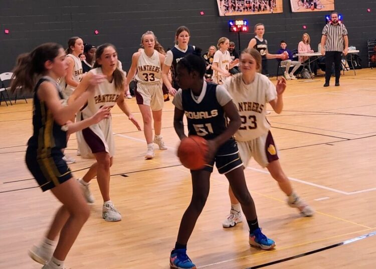 Basquete: Royals continua ganhando - Alexandria Echo Press