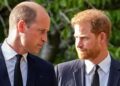 Brecha entre o príncipe William, o príncipe Harry 'muito ruim', mas não 'irreparável': Royal Insider