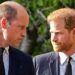 Brecha entre o príncipe William, o príncipe Harry 'muito ruim', mas não 'irreparável': Royal Insider