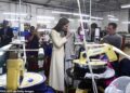 Brian Hoey: Kate Middleton recebe um papel de prestígio do rei Charles - mas a princesa Diana e a princesa Anne não receberam a mesma honra - eis o porquê de