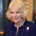 Buckingham Palace compartilha um vídeo emocionante da rainha Camilla após boas notícias