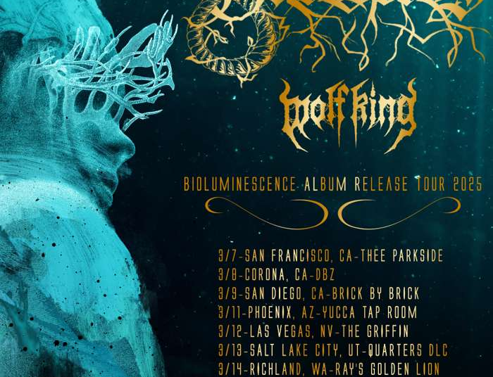 Dawn of Ouroboros Compartilhe o segundo novo single "Slipping Bordundy" junto com o videoclipe