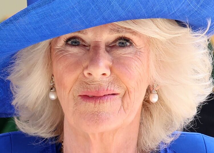 Duas coisas que fazem a rainha Camilla 'perfeitamente feliz', pois Son revela que ela 'não mudou' | Real | Notícias