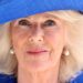 Duas coisas que fazem a rainha Camilla 'perfeitamente feliz', pois Son revela que ela 'não mudou' | Real | Notícias