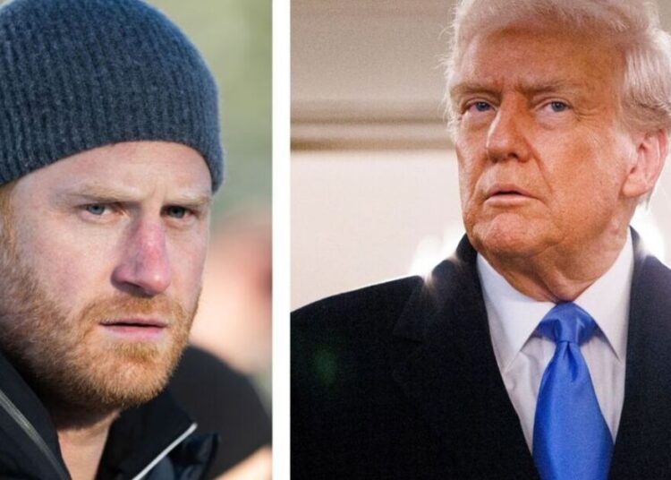 Especialistas Pontos principais motivos pela qual a decisão de Trump sobre o visto do príncipe Harry não é vitória | Real | Notícias