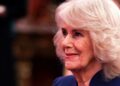 Eu sou o cabeleireiro da rainha Camilla - eis como ela realmente se sentiu antes de se casar com o rei Charles | Real | Notícias