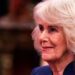 Eu sou o cabeleireiro da rainha Camilla - eis como ela realmente se sentiu antes de se casar com o rei Charles | Real | Notícias