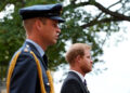 Ex-Aide para os príncipes Harry e William abre o sangue ruim dos irmãos