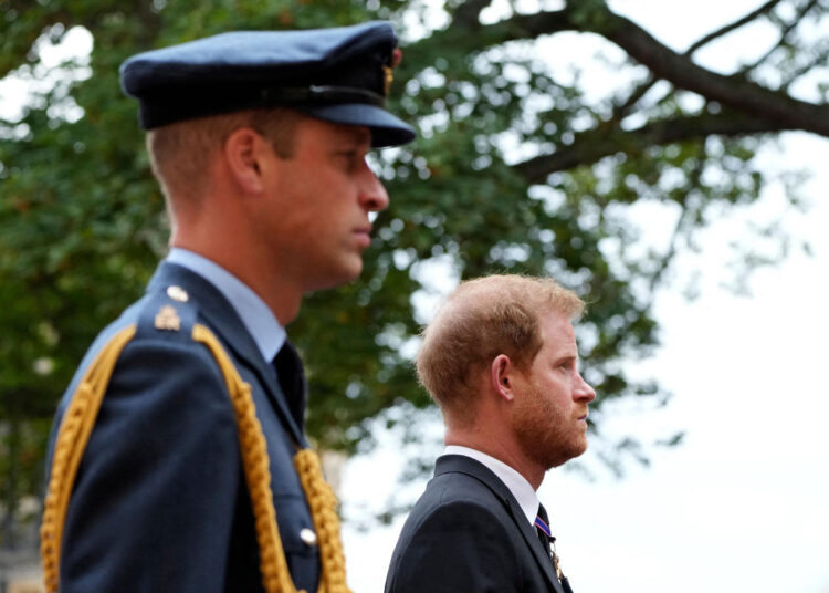 Ex-Aide para os príncipes Harry e William abre o sangue ruim dos irmãos