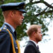 Ex-Aide para os príncipes Harry e William abre o sangue ruim dos irmãos