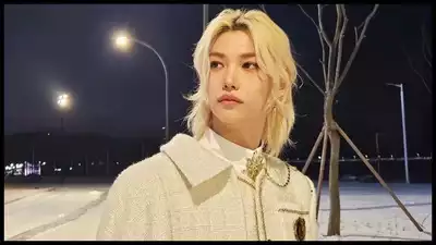 Felix Stray Kids sofre ferimentos em um acidente de carro menor, forçado a perder a reunião de fãs |