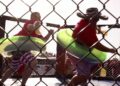 Florida Man Games Events para participantes: Gators, Jousting, Axe jogando