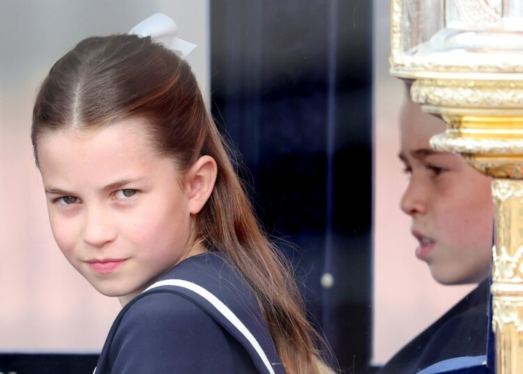 Fotos virais da princesa Charlotte no hospital nada mais são do que uma farsa doente - família real