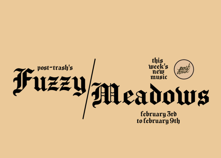 Fuzzy Meadows: The Best New Music da semana (3 de fevereiro