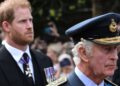 Insider revela o verdadeiro estado do relacionamento do príncipe Harry com o rei Charles | Real | Notícias