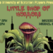 Jogadores da Universidade de Scranton para apresentar 'Little Shop of Horrors'