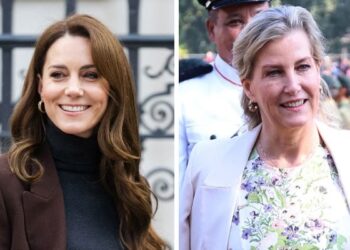 Kate Middleton, Duquesa Sophie Junta forças para mudar a imagem da família real