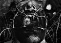 Larcenia Roe anuncia um novo álbum, Share Single “Carolina Crowd Killer” e videoclipe
