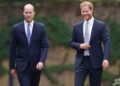 Linguagem corporal do príncipe William & Prince Harry diz muito
