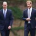 Linguagem corporal do príncipe William & Prince Harry diz muito