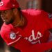 Luke Maile, ex-coletor de Reds, assina um acordo de liga menor com a Royals