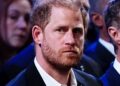 MP deixa seus sentimentos claros nos jogos Invictus do príncipe Harry retornando ao Reino Unido | Real | Notícias