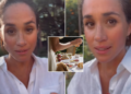 Meghan Markle envia 'Signal de pânico' como duquesa de Sussex entra em 'estágio crítico'