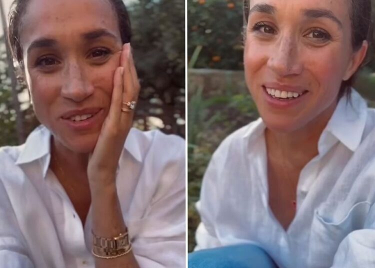 Meghan Markle realiza uma inversão de marcha principal como duquesa de Sussex renova sua marca apenas duas semanas antes da nova série
