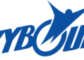 O Skybound Entertainment expande seu universo com bordo
