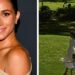 O especialista real envia aviso sobre a nova foto da princesa Lilibet | Real | Notícias
