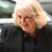 O esporte popular da rainha Camilla 'odeia' amado por outros membros da realeza | Real | Notícias