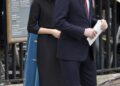 O incessante abraço e beijão de bochecha de Meghan Markle deixaram os auxiliares do palácio e o Royals sênior se contorcendo, reivindicações do livro real