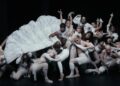 O novo single Gaga recebe Oberlin Seal of aprovação - The Oberlin Review