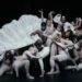 O novo single Gaga recebe Oberlin Seal of aprovação - The Oberlin Review
