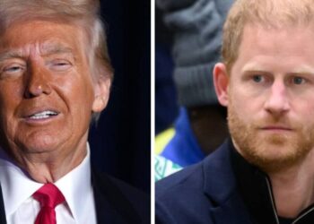 O príncipe Harry apelidou de 'Small Fry' para Trump, enquanto Duke pediu para manter a cabeça baixa depois da Jibe | Real | Notícias