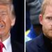 O príncipe Harry apelidou de 'Small Fry' para Trump, enquanto Duke pediu para manter a cabeça baixa depois da Jibe | Real | Notícias