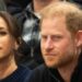 O príncipe Harry pediu copiar o príncipe William em comentários brutais de ex -funcionário | Real | Notícias