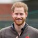 O príncipe Harry recebe notícias edificantes do Reino Unido após a atualização do palácio