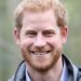 O príncipe Harry recebeu o apelido de Savage por ex -servos - que brincou que 'levaria duas semanas para colocar suas calças' sem eles, novas reivindicações do Royal Book