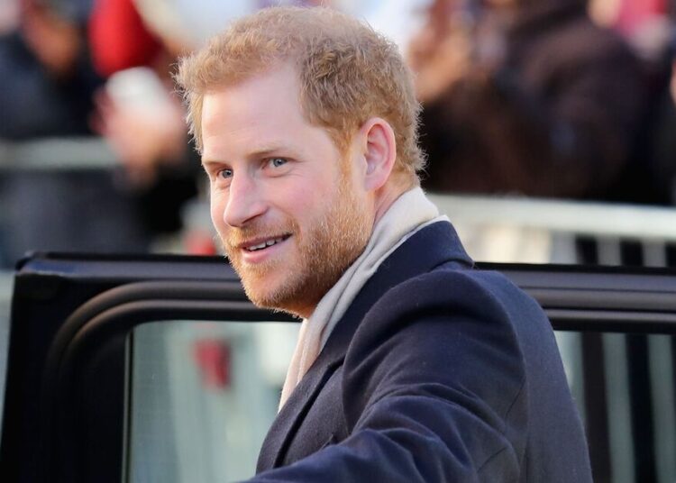 O príncipe Harry revela uma coisa comum que 'não foi permitida' fazer no Reino Unido | Real | Notícias